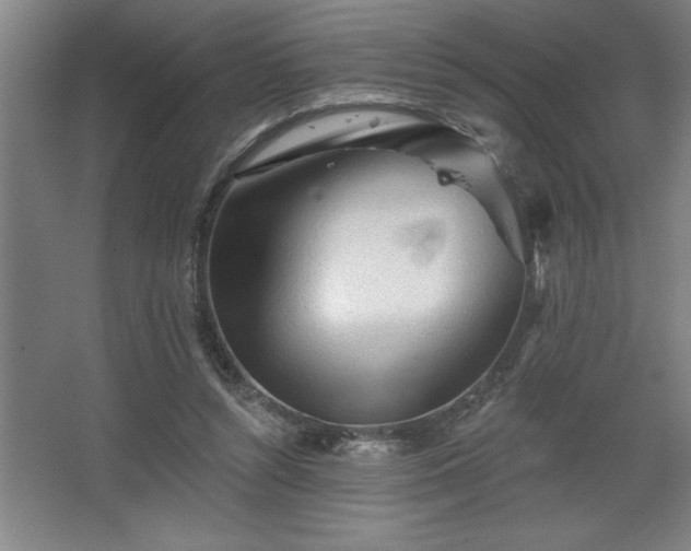 X0000068720352200605010939