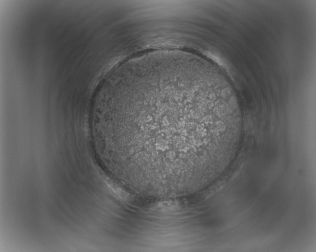 X0000068720353200605010939