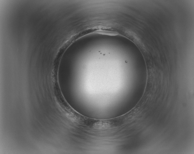 X0000068720354200605010939