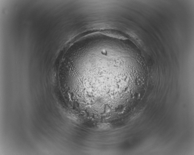 X0000068720355200605010939