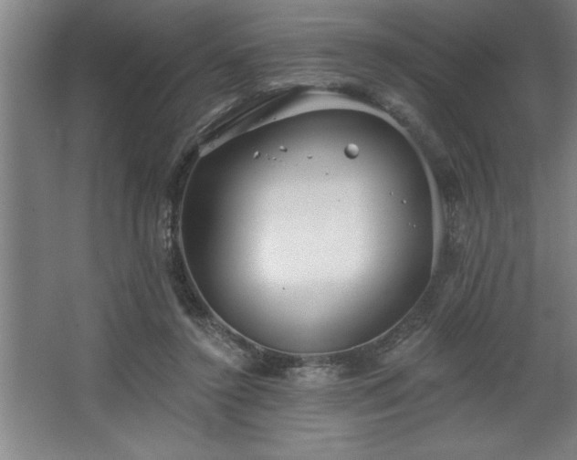 X0000068720356200605010939