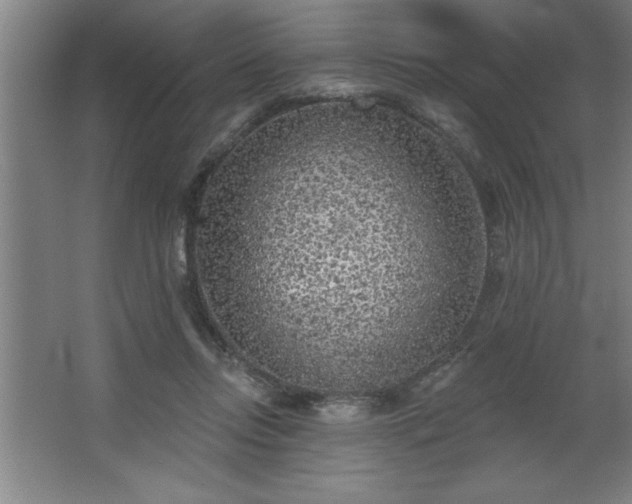 X0000068720358200605010939