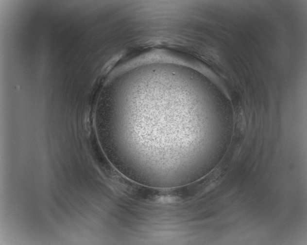 X0000068720360200605010939