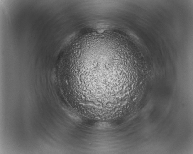 X0000068720361200605010939