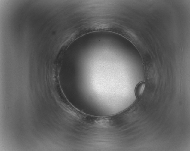 X0000068720362200605010939