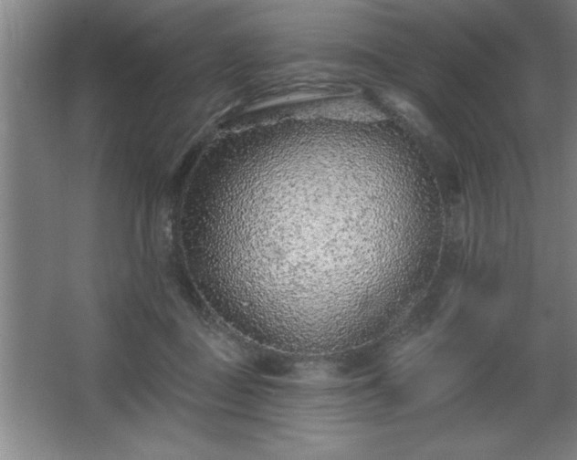 X0000068720363200605010939