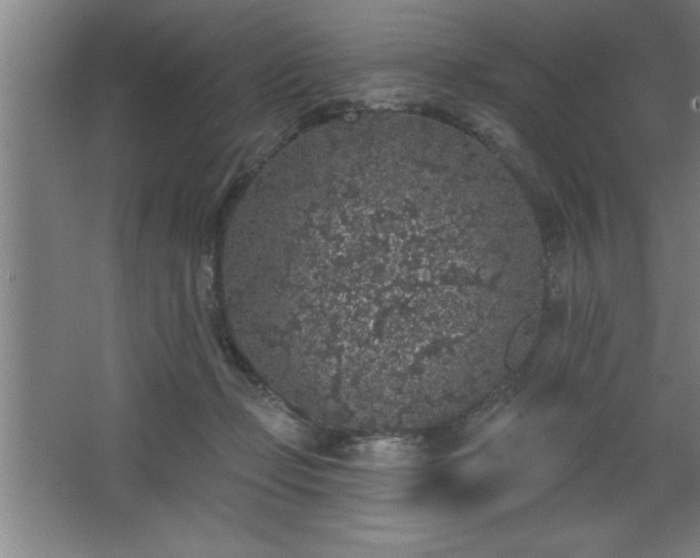 X0000068720365200605010939