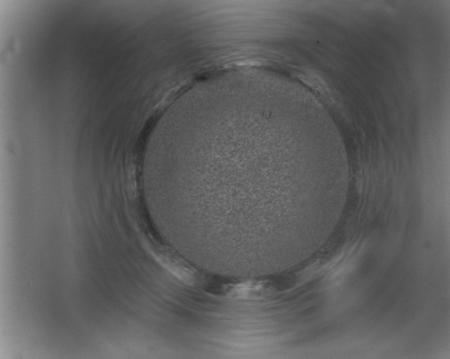 X0000068720366200605010939