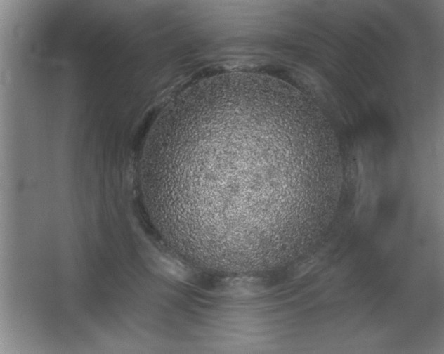 X0000068720367200605010939