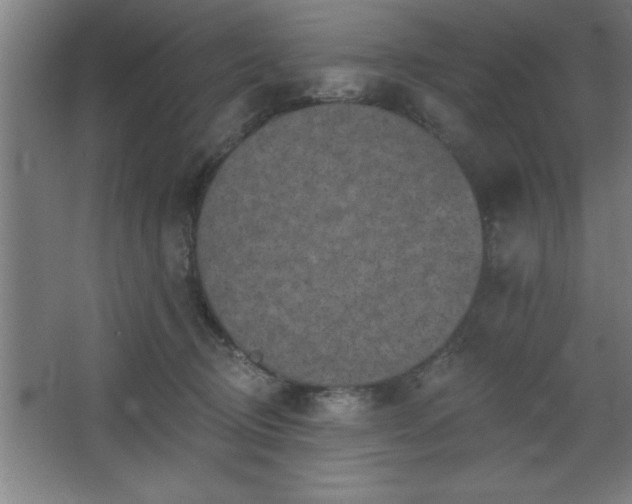 X0000068720370200605010939