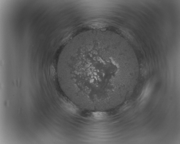 X0000068720371200605010939