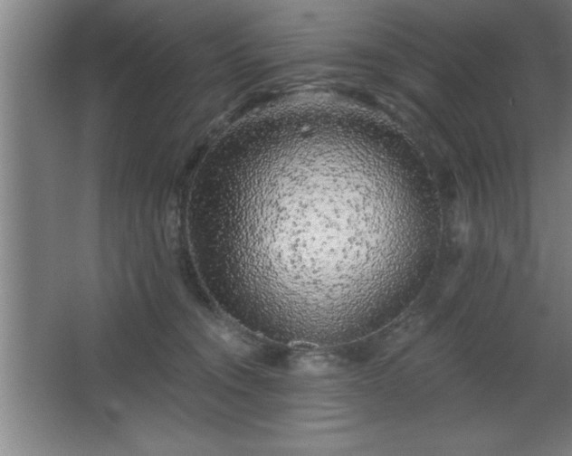 X0000068720372200605010939