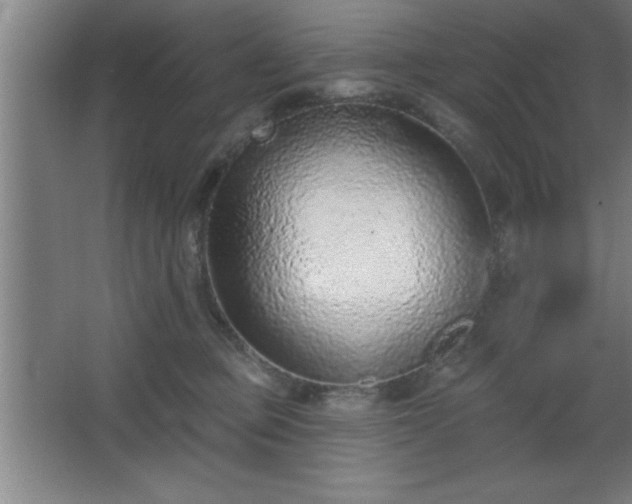 X0000068720373200605010940