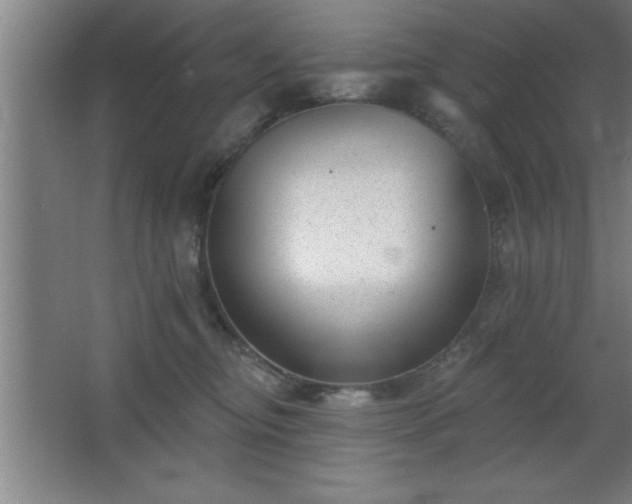 X0000068720374200605010940