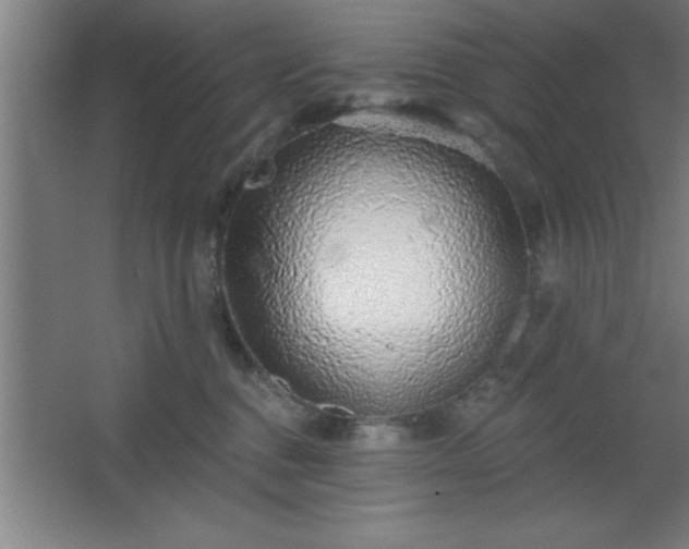 X0000068720376200605010940