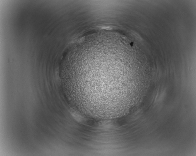 X0000068720377200605010940