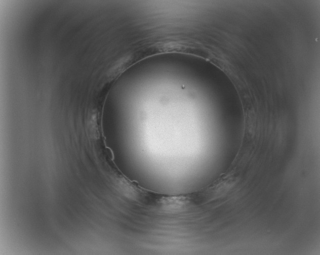 X0000068720378200605010940