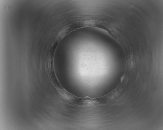 X0000068720379200605010940