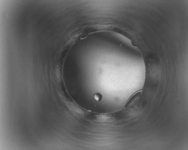 X0000068720380200605010940