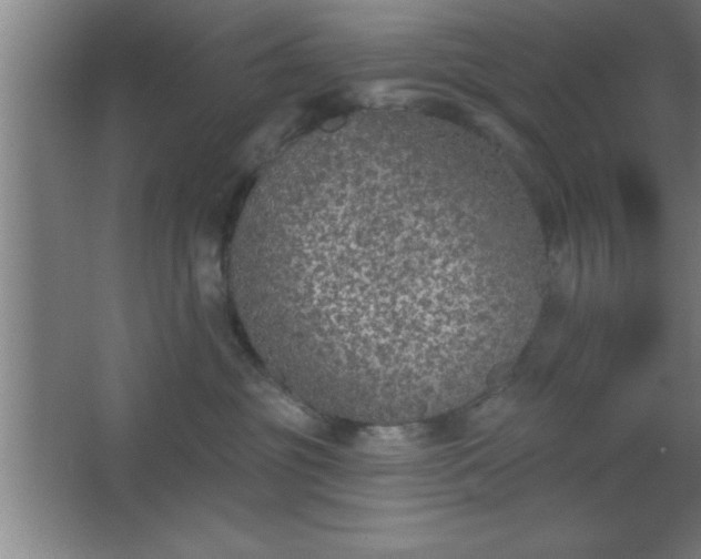 X0000068720381200605010940