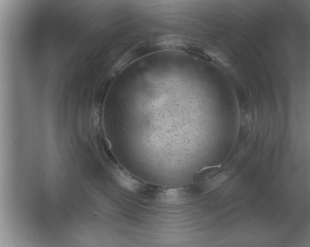 X0000068720382200605010940