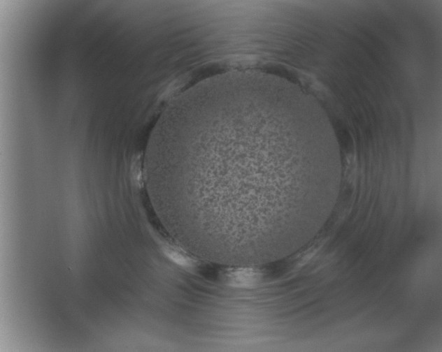 X0000068720383200605010940