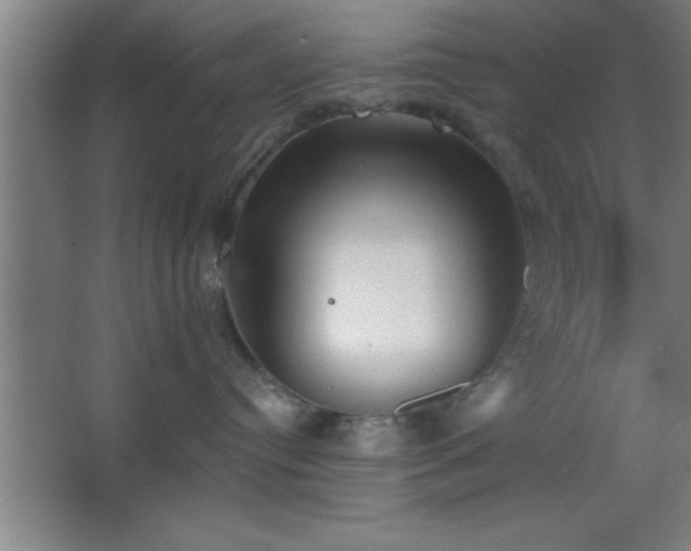 X0000068720384200605010940