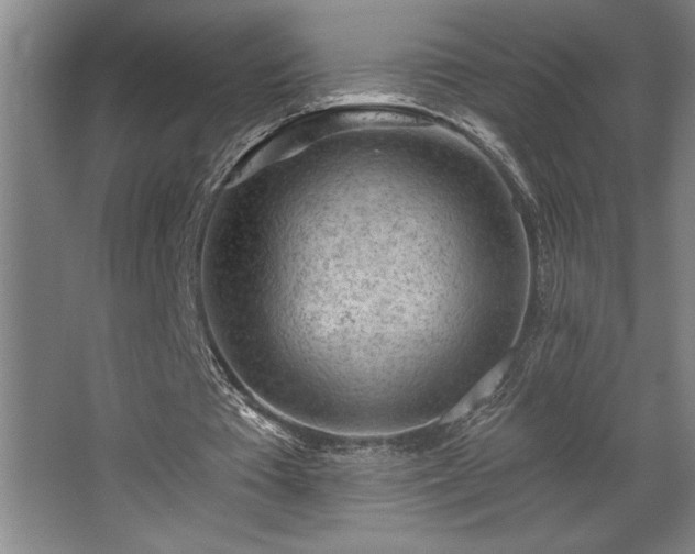 X0000068720385200605010939