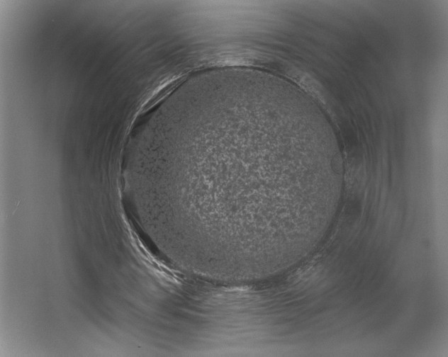 X0000068720386200605010939