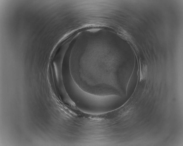 X0000068720387200605010939