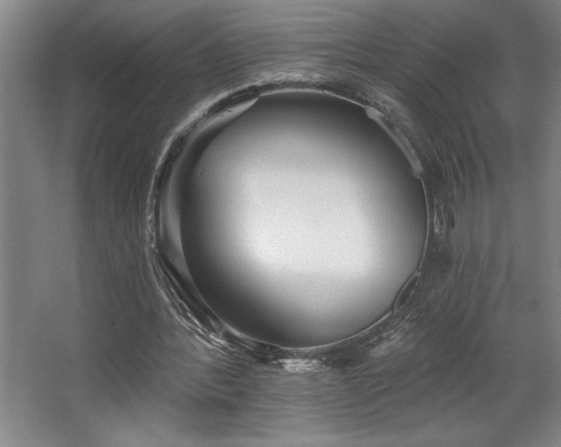 X0000068720388200605010939