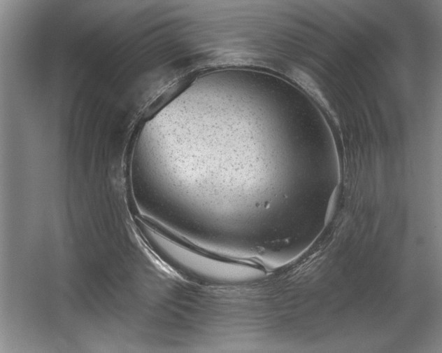 X0000068720389200605010939