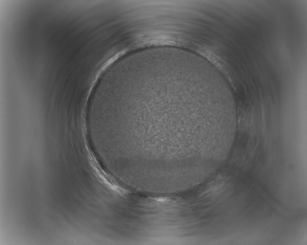 X0000068720390200605010939