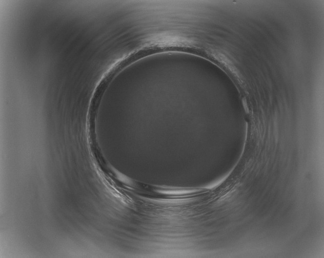 X0000068720391200605010939