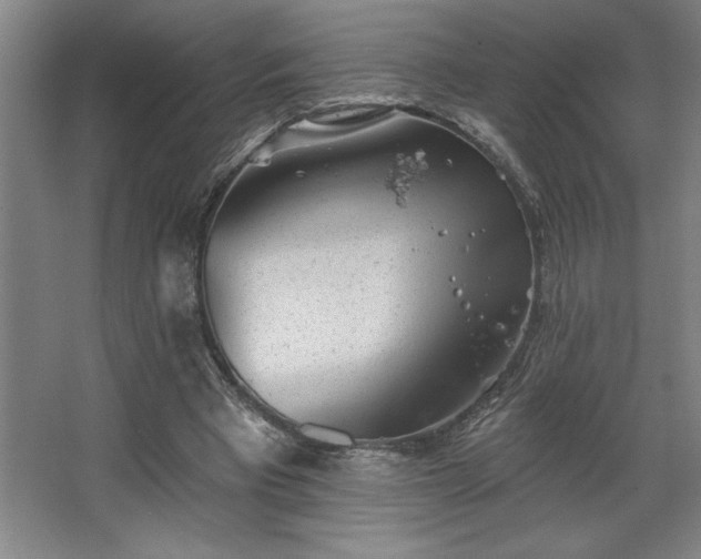 X0000068720393200605010939