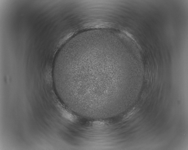 X0000068720394200605010939