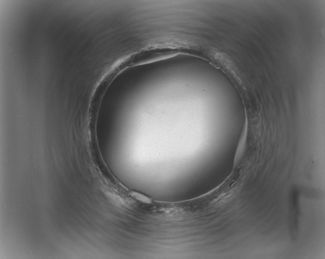 X0000068720395200605010939