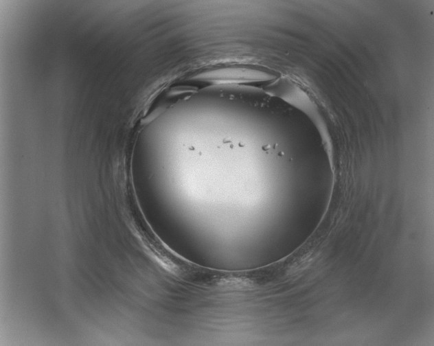 X0000068720397200605010939