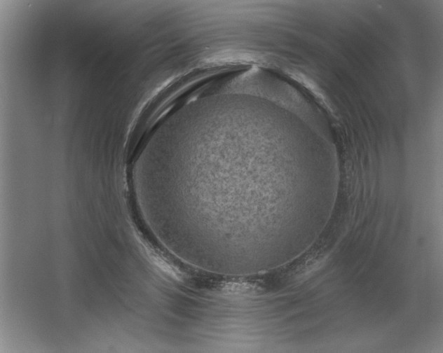 X0000068720399200605010939