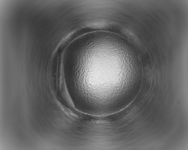 X0000068720400200605010939