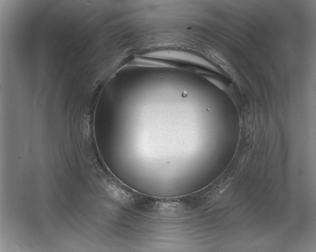 X0000068720401200605010939