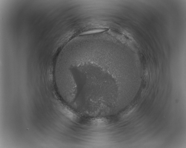 X0000068720402200605010939