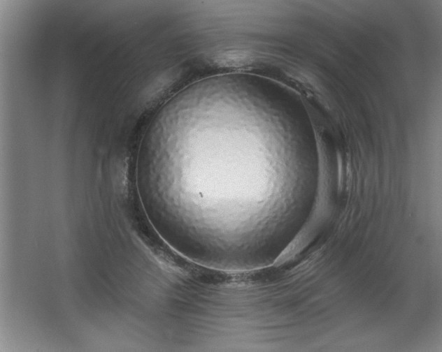 X0000068720404200605010939