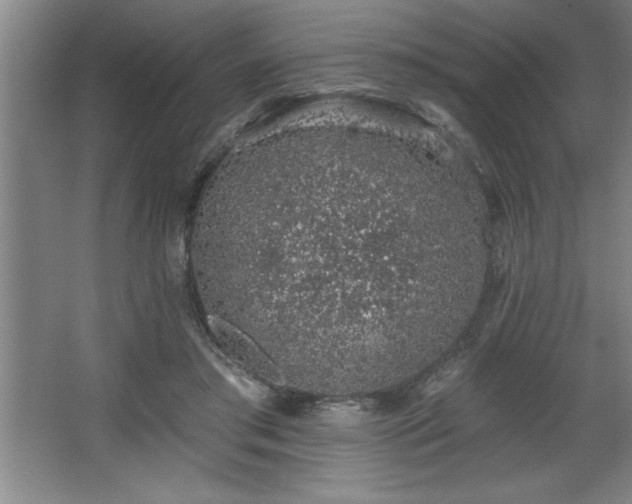 X0000068720405200605010939