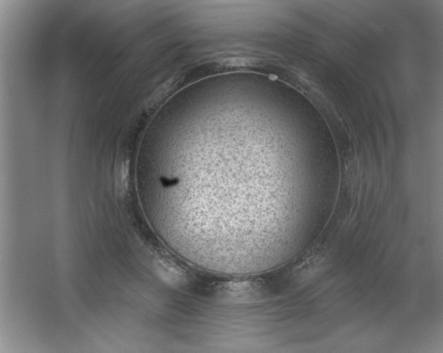 X0000068720406200605010939