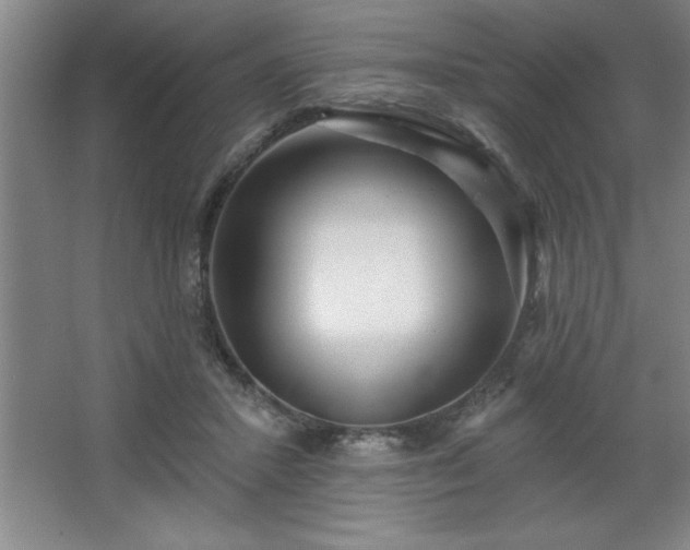 X0000068720407200605010939