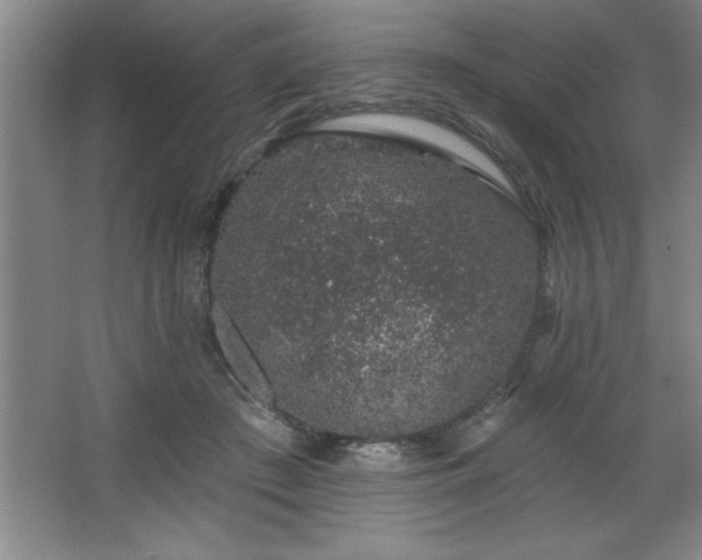 X0000068720409200605010938