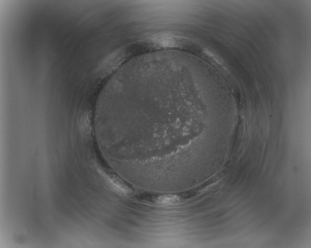 X0000068720410200605010938