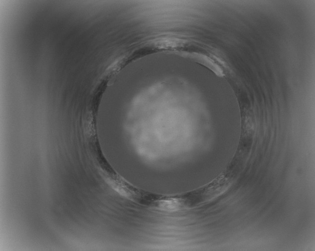 X0000068720411200605010938