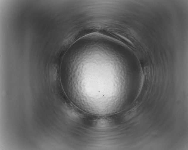 X0000068720412200605010938